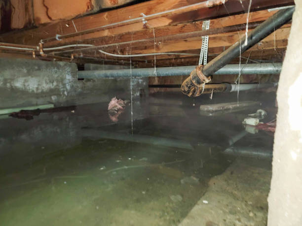 Best Commercial water damage restoration  in Starke, FL