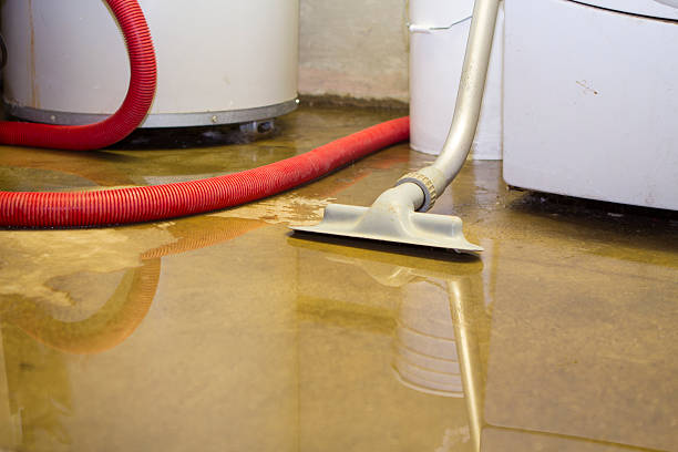 Best Mold removal after water damage  in Starke, FL
